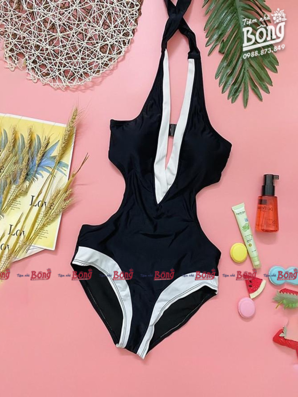 Bikini Xẻ Ngực Chữ V Viền Trắng 02