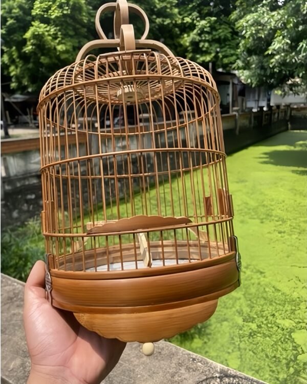 Cho Thuê Lồng Chim Chụp Sen Be