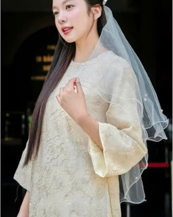 Cho Thuê Áo Dài Cổ Tròn Thêu Hoa Hồng Kem (Có Bigsize)