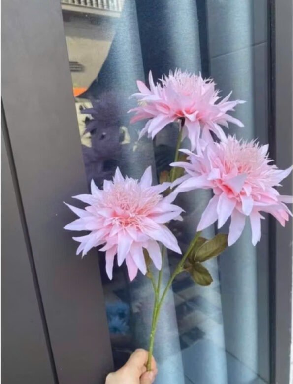 z7280478619891_e2dd73b4901e9b9615e5f58abd0943ef – Copy