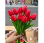Cho Thuê Hoa Tulip Đỏ
