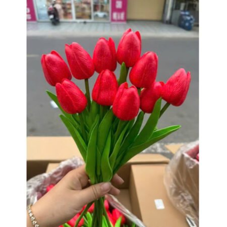 Cho Thuê Hoa Tulip Đỏ