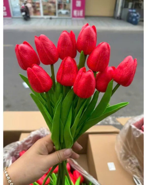 Cho Thuê Hoa Tulip Đỏ