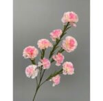 z7280478619923_e40d036825666417019eac68d6a1b811 – Copy