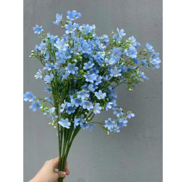 z7280478619924_2af77ebcbc2524037e96e94205742d3a – Copy