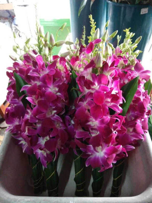 z7280478619926_c7bdbc26dd13b26dfda7ae482fb5810c