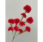 z7280478619927_c4e162494be35c597c9a5ccdc75070ba – Copy