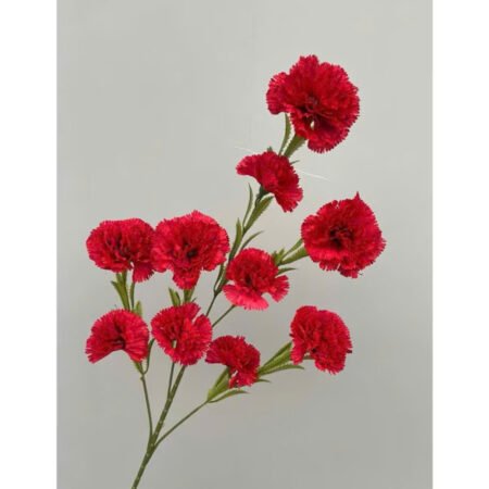 Cho Thuê Cành Hoa Cẩm Chướng Đỏ