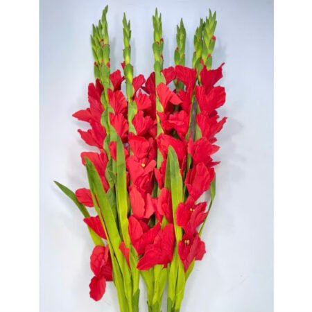 Cho Thuê Cành Hoa Lay Ơn Đỏ