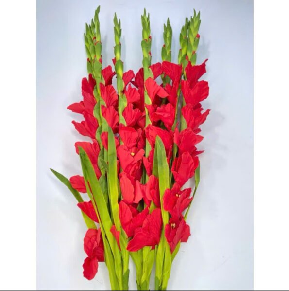 z7280478619929_e2b31cc258c65ff67171199b62e92476 – Copy