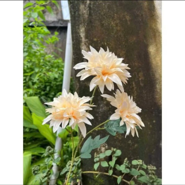 z7280478619930_9974aa495c453eca85ab01ca0364a583 – Copy