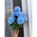 Cho Thuê Cành Hoa Cẩm Tú Cầu Xanh Da Trời