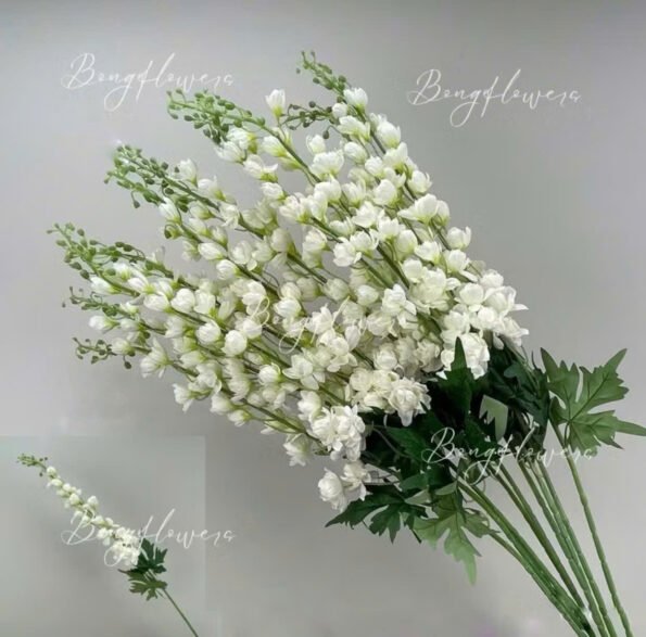 z7280478619933_bcaba6acbbf96037785863ae453a1fc2 – Copy