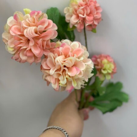 Cho Thuê Cành Thược Dược Cam Đào