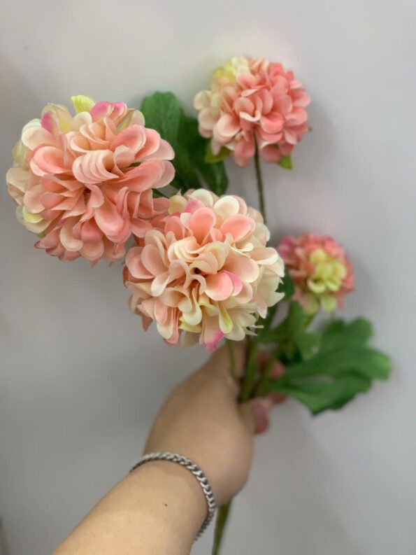 z7280479453371_cc4033a8f69ccbcf2bc9918e85f70972