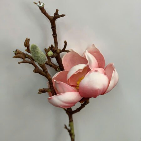 Cho Thuê Cành Hoa Mộc Lan Hồng Có Nụ