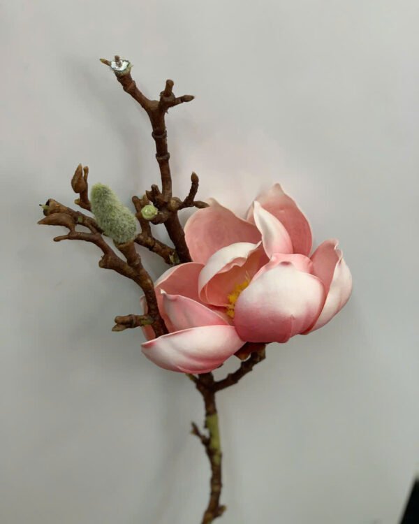 Cho Thuê Cành Hoa Mộc Lan Hồng Có Nụ