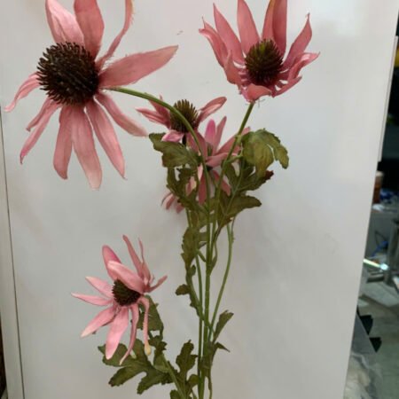 Cho Thuê Cành Hoa Cúc Lông Hồng Đất