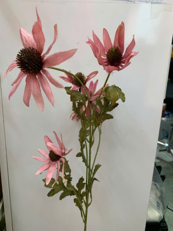 z7280479453375_69e1f97d8b91b46004f1b7f73ad310c2