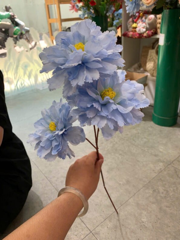 z7280479453376_e153a3b1dc78874e192581db7ba00c64