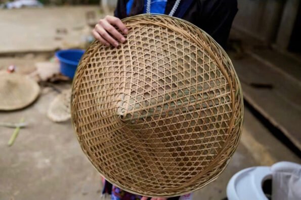 z7320955609781_901af2e4b43c31dca9afdc6b42f31451